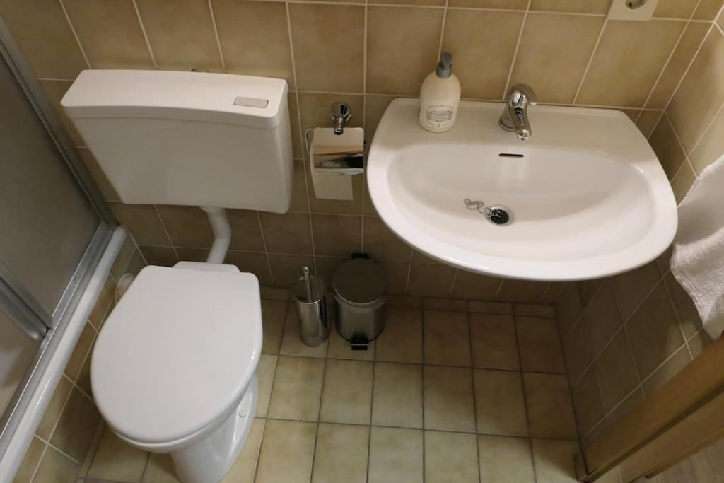 Modern Flat Near Grosser Arber バイエリッシュ・アイゼンシュタイン エクステリア 写真