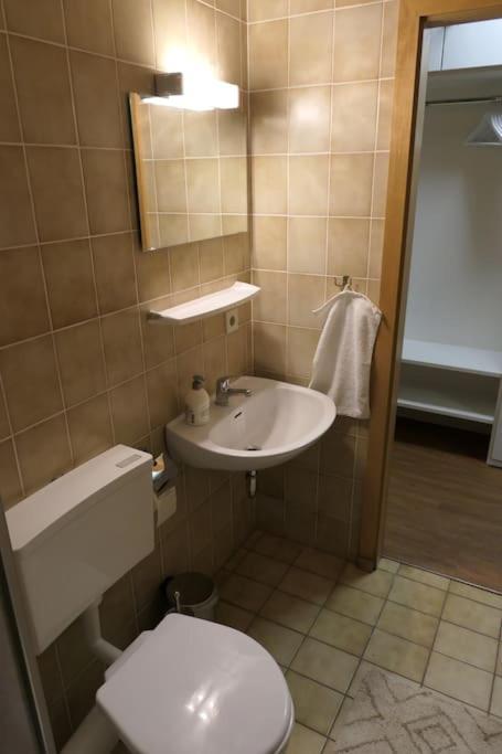 Modern Flat Near Grosser Arber バイエリッシュ・アイゼンシュタイン エクステリア 写真